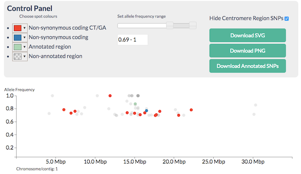 CandiSNP after filtering - the region of the high red spot density is the recombinant one