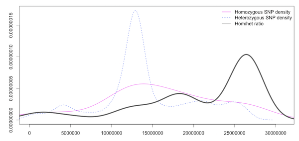Density plot of Homozygous, Heterozygous SNP density and the ratio of Hom/Het SNPS in slifing windows