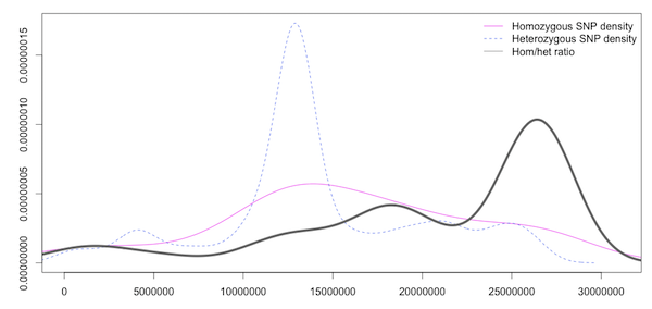 Density plot of homozygous, heterozygous SNP density and the ratio of hom/het SNPS in sliding windows